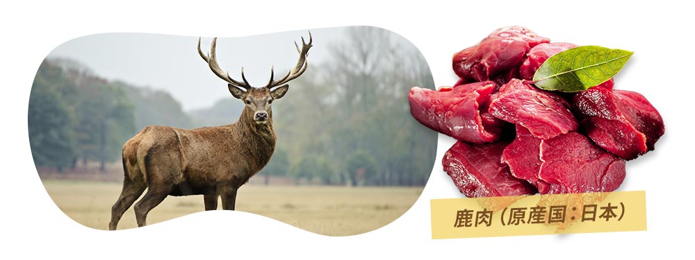 鹿肉（原産国：日本）