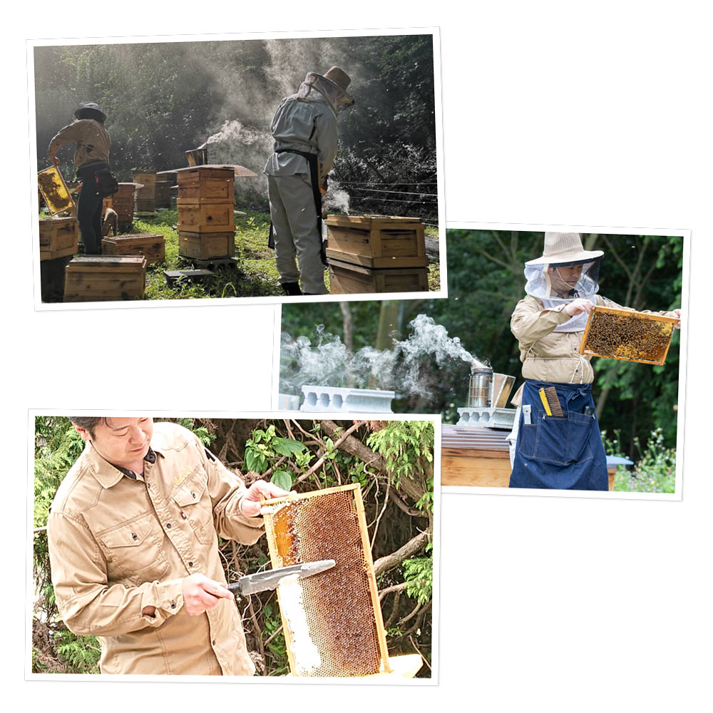 農薬残留検査結果と養蜂場の写真
